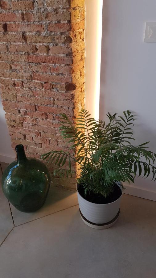 Loft Mariola - Apartamento En El Centro Historico Bocairent Luaran gambar